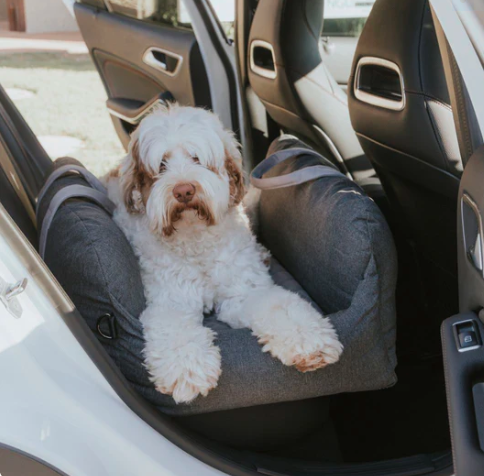 El trono seguro y elegante que tu perro merece en cada viaje